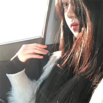 爱你汪汪