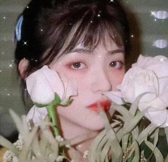 热血忠魂之独行侍卫
